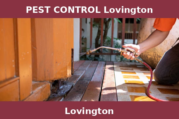 PEST CONTROL Lovington